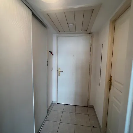 La Terrasse De Palais Des Arts *